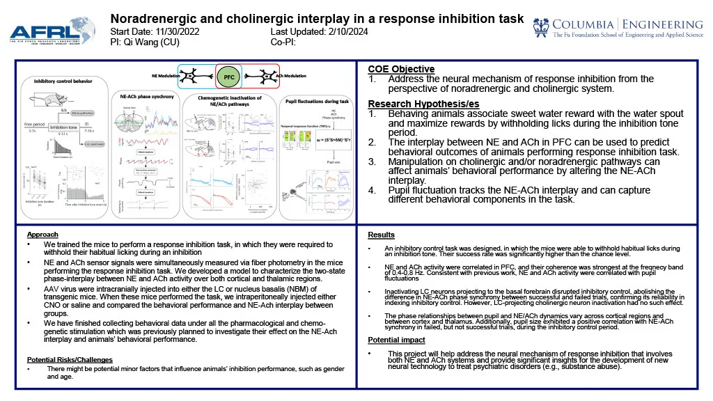 "Noradrenergic and cholinergic interplay in a response inhibition task"