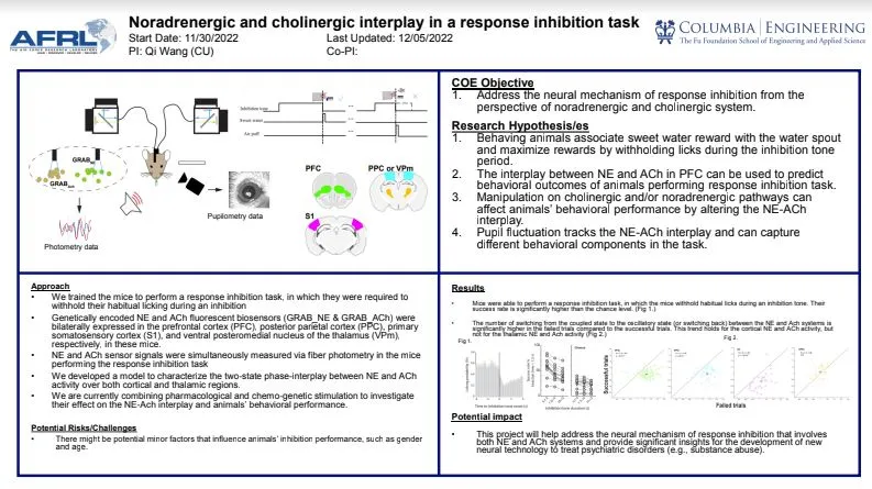 "Noradrenergic and cholinergic interplay in a response inhibition task"